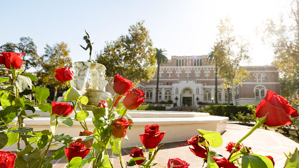 Youth Triumphant Fountain and roses in front of a USC Doheney Library