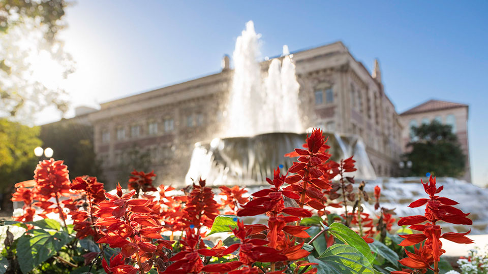 Flowers in front of the USC Hahn Plaza fountain