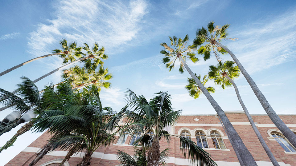 Palm trees at the USC Doheny Memorial Library