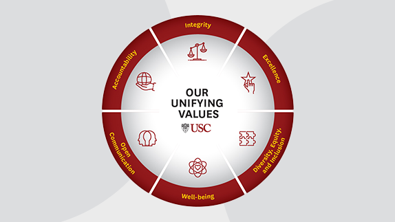 Culture Journey six value wheel