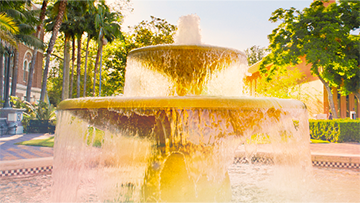 a fountain on USC campus